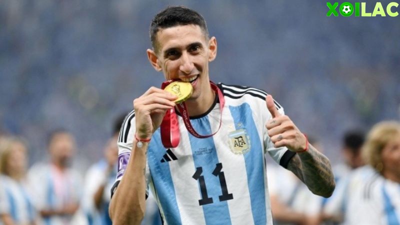 Tiền vệ Benfica trở thành nhà vô địch World Cup 2022 Tiền vệ Benfica trở thành nhà vô địch World Cup 2022