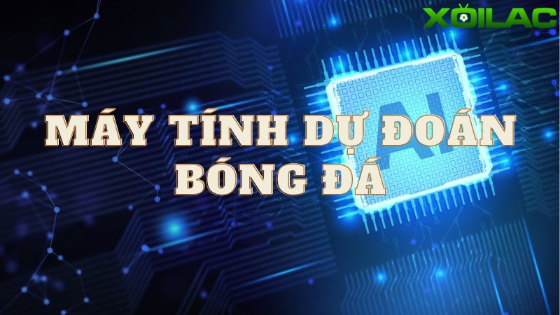 Máy tính dự đoán bóng đá tại kênh Xoilac