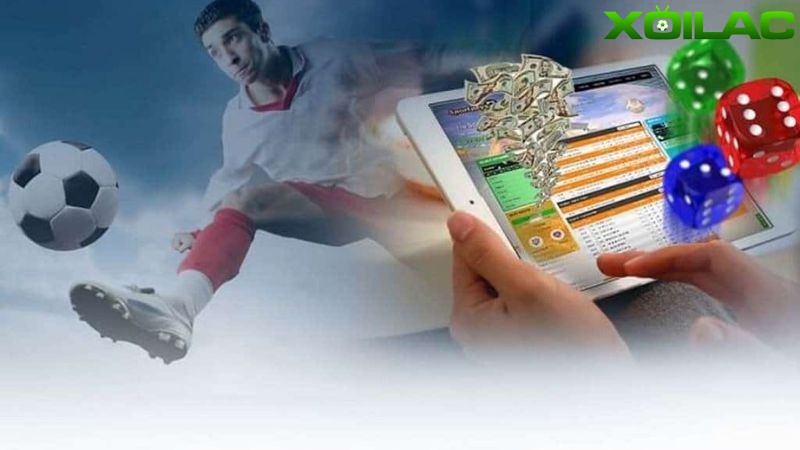 Một số điều lưu ý khi sử dụng tính năng máy dự đoán bóng đá Xoilac Một số điều lưu ý khi sử dụng tính năng máy dự đoán bóng đá Xoilac