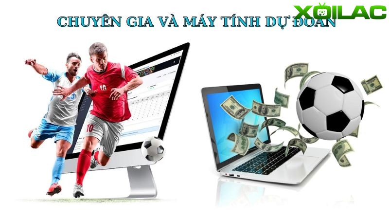 Cách xem máy tính dự đoán bóng đá tại Xoilac Cách xem máy tính dự đoán bóng đá tại Xoilac